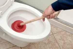 plunger for toilet