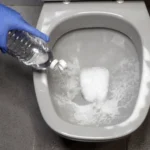 baking soda and vinegar in a toilet