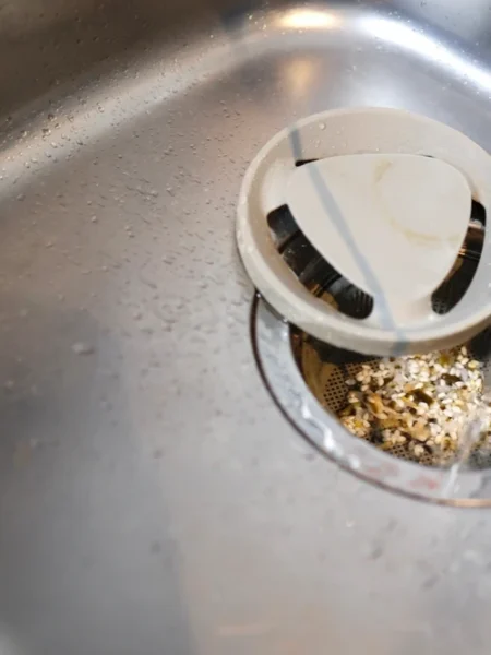 Prevent Smelly Drains